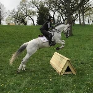 Meet your Posher, Crystal